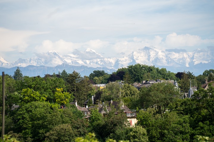 DSC06820